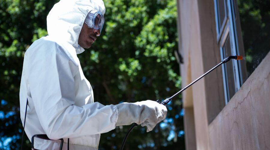 Why choose Rat Control Oxbow Estates for rat control in Oxbow Estates